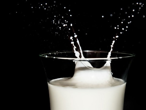 Milch Milch